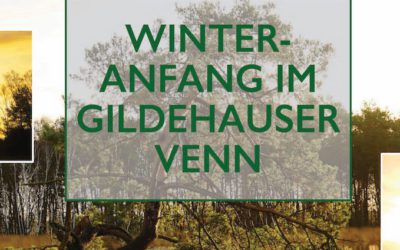 Winteranfang im Gildhauser Venn