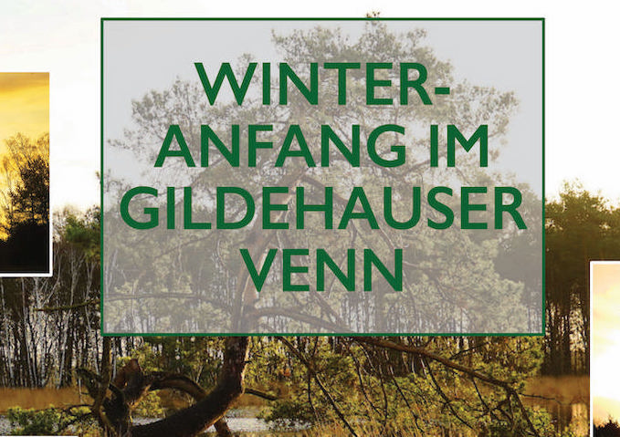 Winteranfang im Gildhauser Venn